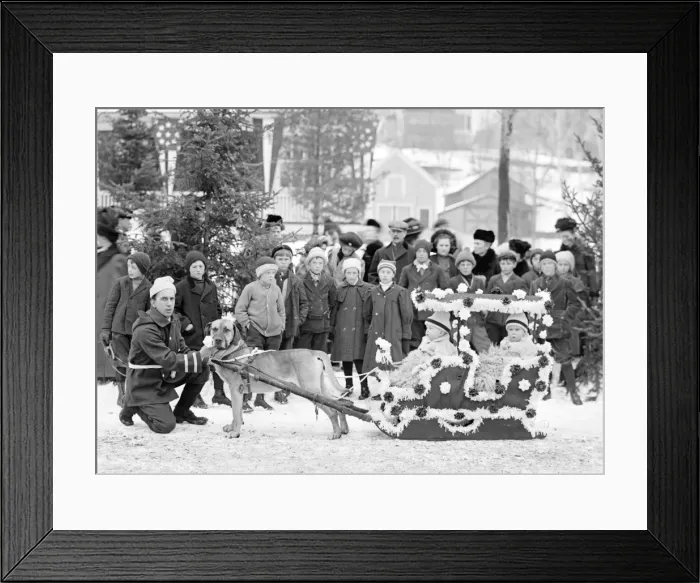 Framed Print : Children in a dog sled at Midwinter carnival childrens para Framed Print : Children in a dog sled at Midwinter carnival childrens para