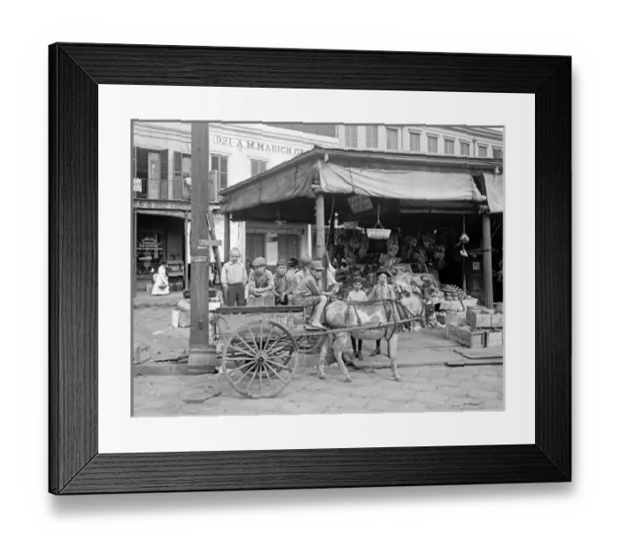Framed Print : Children sitting on a donkey cart on a corner of the French Framed Print : Children sitting on a donkey cart on a corner of the French