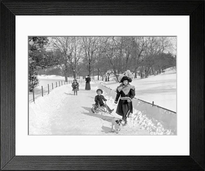 Framed Print : Children in the snow with a sledge in Cnetral Park in New Yo Framed Print : Children in the snow with a sledge in Cnetral Park in New Yo