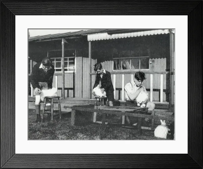 Framed Print : Tennal Approved School, Birmingham - Rabbits Framed Print : Tennal Approved School, Birmingham - Rabbits