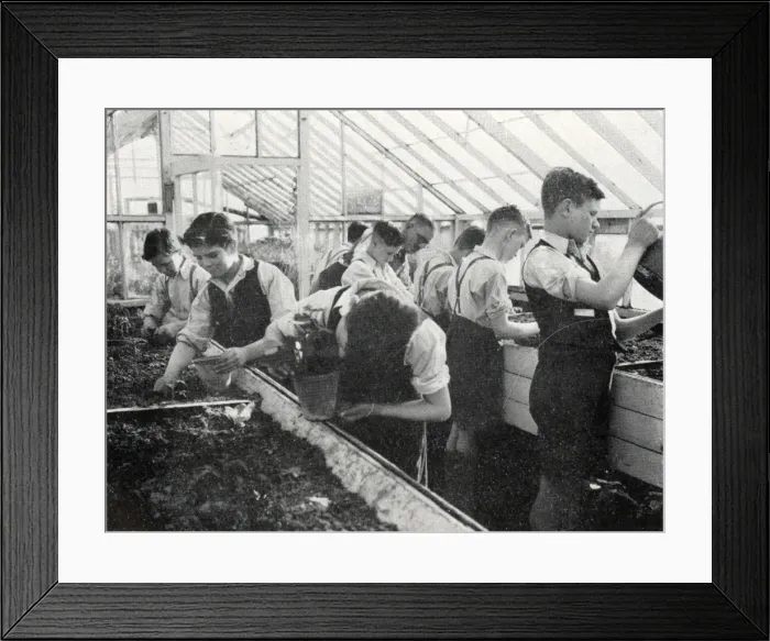 Framed Print : Tennal Approved School, Birmingham - Greenhouse Framed Print : Tennal Approved School, Birmingham - Greenhouse