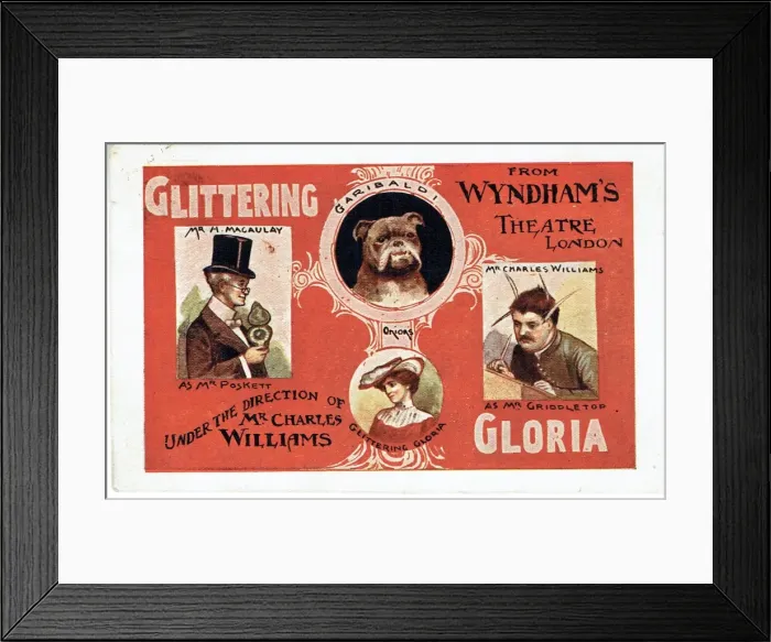 Framed Print : Glittering Gloria by Hugh Morton Framed Print : Glittering Gloria by Hugh Morton