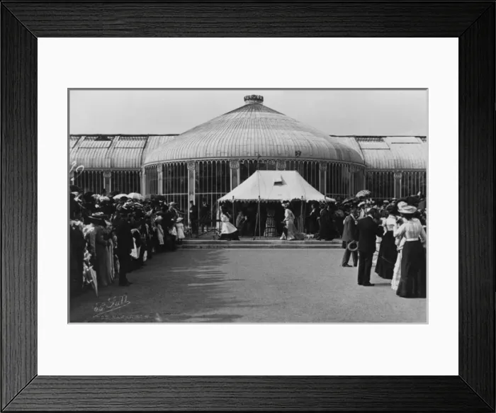 Framed Print : The March Past - L. K. A. Dog Show Framed Print : The March Past - L. K. A. Dog Show