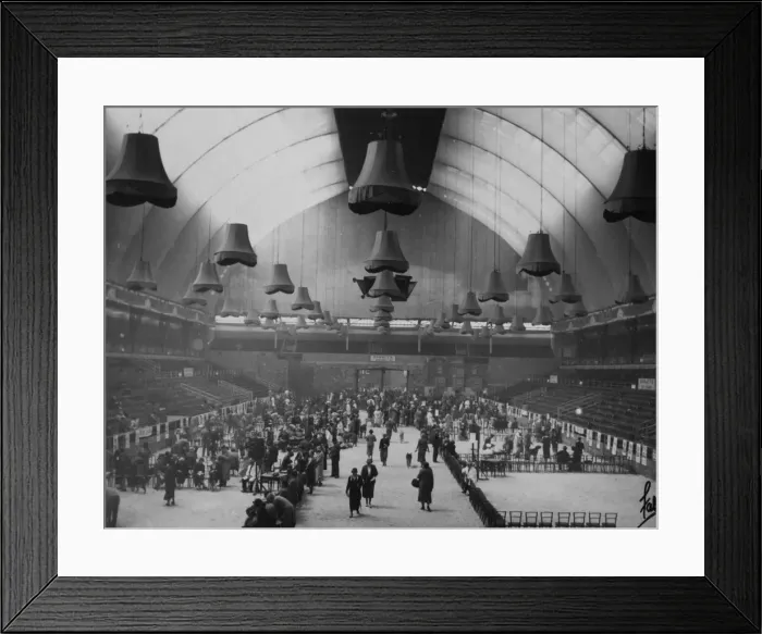 Framed Print : Olympia - L. K. A. Dog Show Framed Print : Olympia - L. K. A. Dog Show