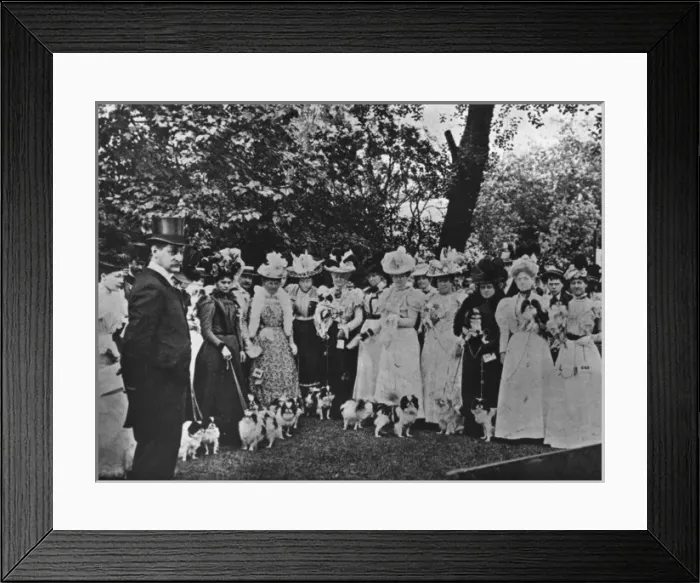 Framed Print : The Judge of the Exhibition of Japanese Spaniels Framed Print : The Judge of the Exhibition of Japanese Spaniels