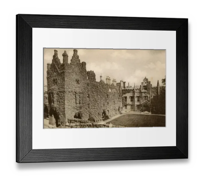 Framed Print : The ivy-clad walls of Sidney Sussex College, Cambridge Framed Print : The ivy-clad walls of Sidney Sussex College, Cambridge