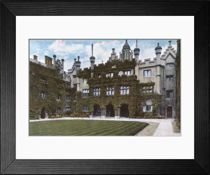 Framed Print : The ivy-clad walls of Sidney Sussex College, Cambridge Framed Print : The ivy-clad walls of Sidney Sussex College, Cambridge