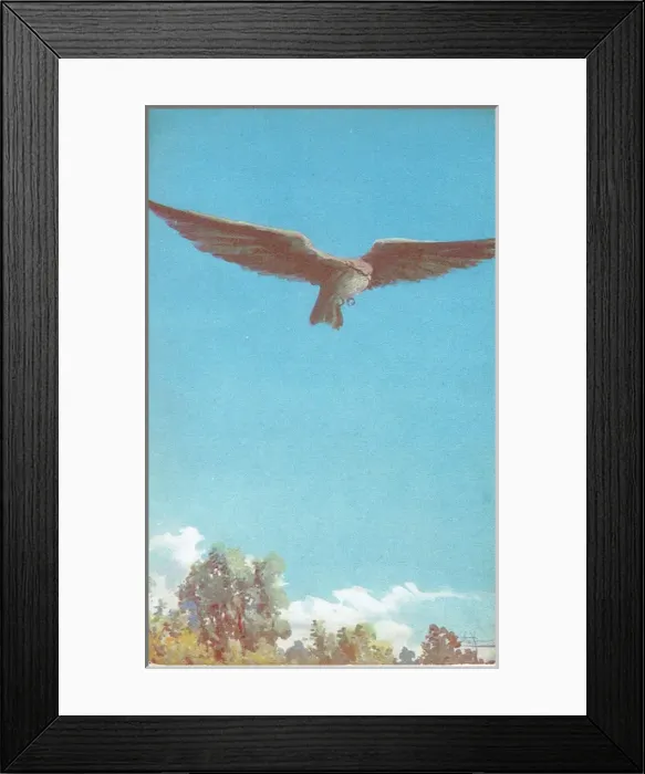 Framed Print : The Hawk by Edward Knoblauch Framed Print : The Hawk by Edward Knoblauch