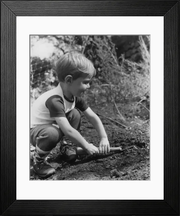Framed Print : Little boy playing in a garden Framed Print : Little boy playing in a garden