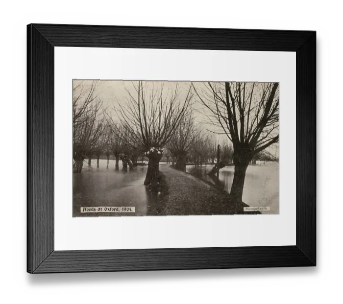 Framed Print : Mesopotamia Island, Oxford - Flooding Framed Print : Mesopotamia Island, Oxford - Flooding