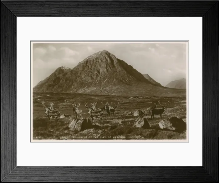 Framed Print : Monarchs of the Glen of Weeping, Scotland Framed Print : Monarchs of the Glen of Weeping, Scotland