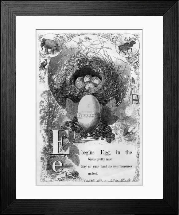 Framed Print : The Mothers Picture Alphabet -- E Framed Print : The Mothers Picture Alphabet -- E