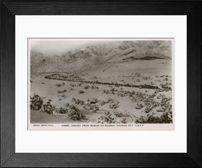 Framed Print : NWFP - A camel convoy (train) from Razani to Razmak Framed Print : NWFP - A camel convoy (train) from Razani to Razmak