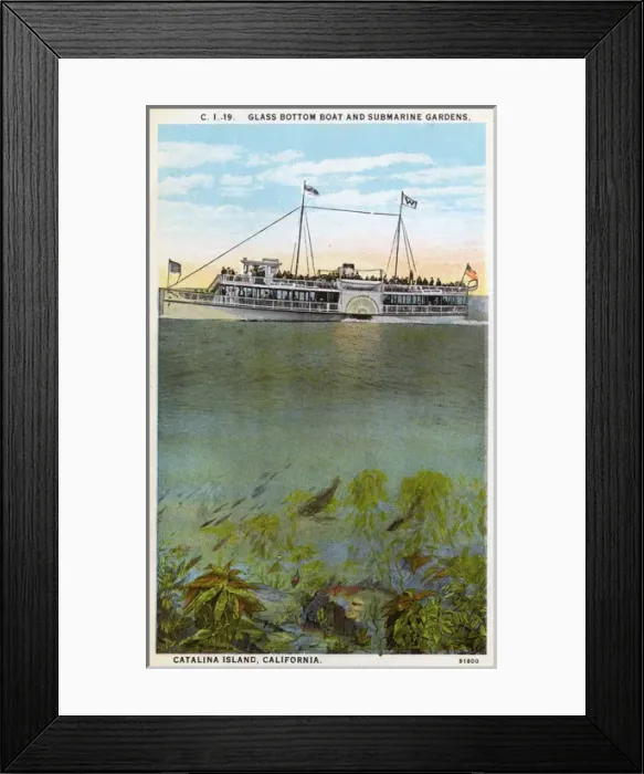 Framed Print : Glass-bottomed boat, Santa Catalina Island, California, USA Framed Print : Glass-bottomed boat, Santa Catalina Island, California, USA