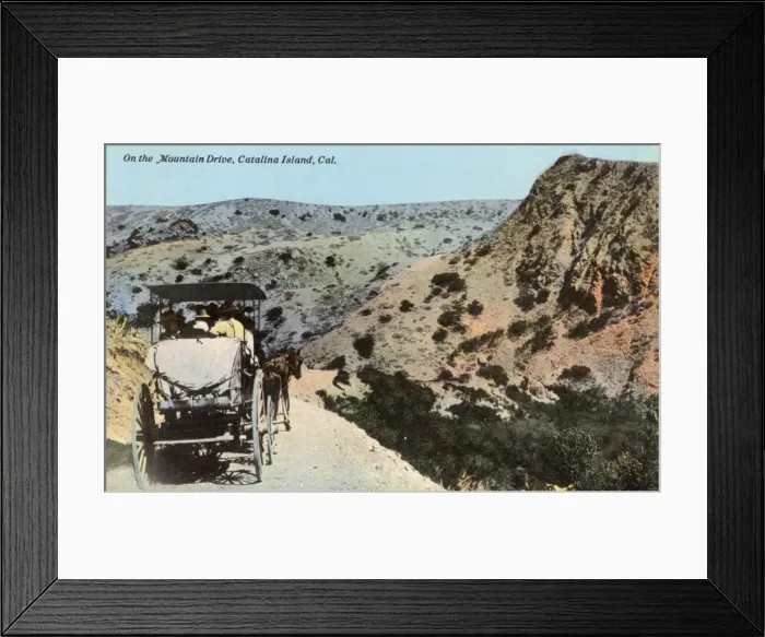 Framed Print : Mountain Drive, Santa Catalina Island, California, USA Framed Print : Mountain Drive, Santa Catalina Island, California, USA