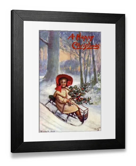 Framed Print : Tobogganing