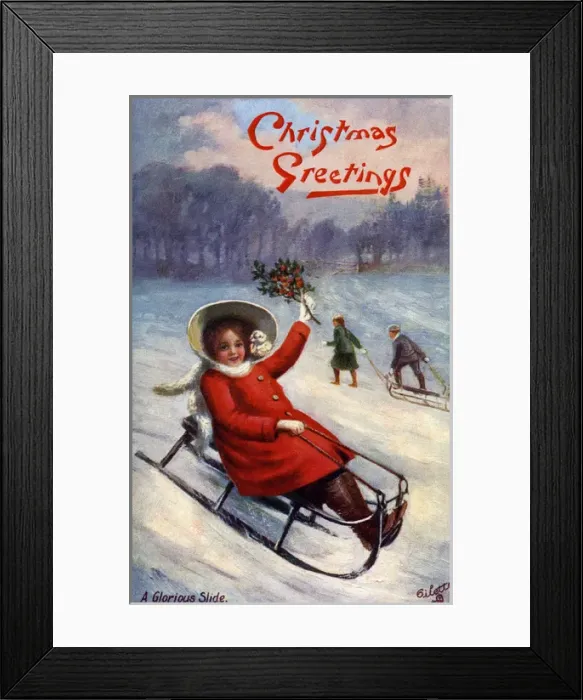 Framed Print : Tobogganing Framed Print : Tobogganing