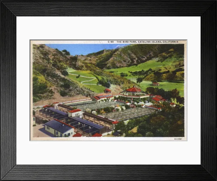 Framed Print : Bird Park, Santa Catalina Island, California, USA Framed Print : Bird Park, Santa Catalina Island, California, USA