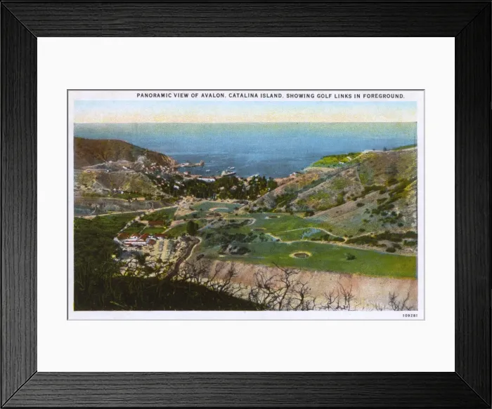 Framed Print : View of Avalon, Santa Catalina Island, California, USA Framed Print : View of Avalon, Santa Catalina Island, California, USA