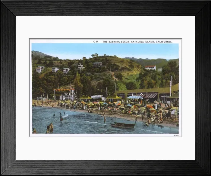 Framed Print : Bathing beach, Santa Catalina Island, California, USA Framed Print : Bathing beach, Santa Catalina Island, California, USA