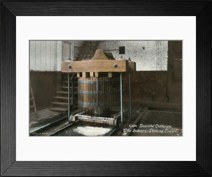 Framed Print : Pressing pomace, California wine industry, USA Framed Print : Pressing pomace, California wine industry, USA