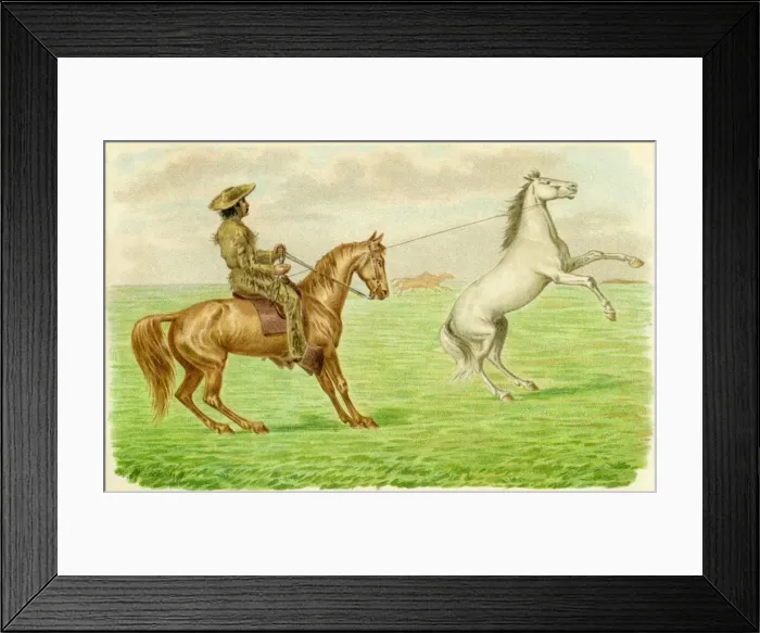 Framed Print : American cowboy Framed Print : American cowboy