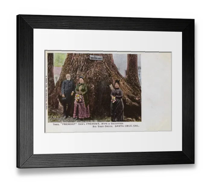 Framed Print : General Fremont and tree, Santa Cruz, California, USA Framed Print : General Fremont and tree, Santa Cruz, California, USA
