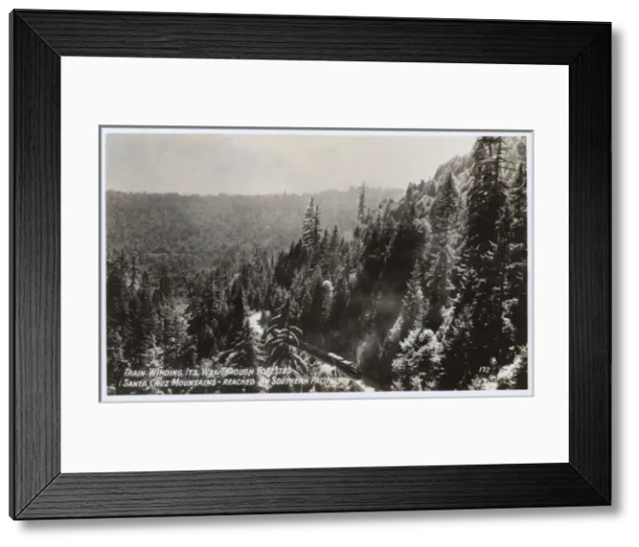 Framed Print : Scene in Santa Cruz Mountains, California, USA Framed Print : Scene in Santa Cruz Mountains, California, USA