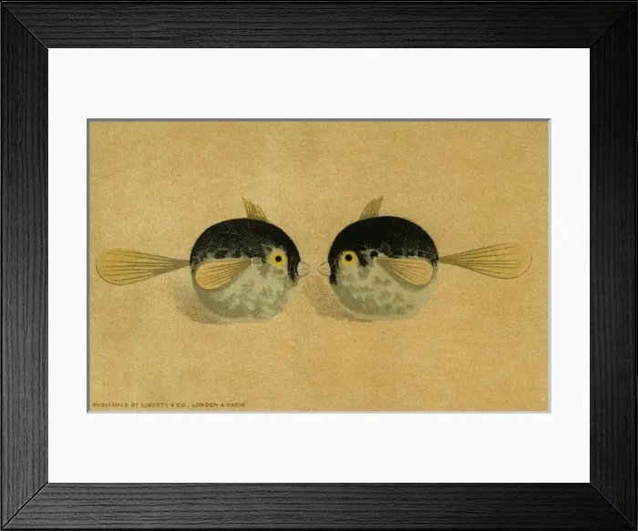 Framed Print : Decorative fish Framed Print : Decorative fish