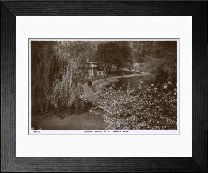 Framed Print : Springtime view of St Jamess Park, London Framed Print : Springtime view of St Jamess Park, London
