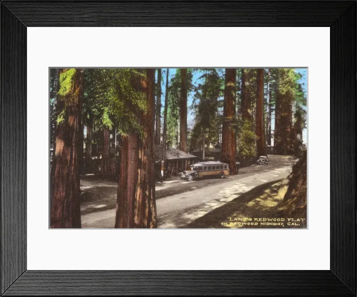 Framed Print : Lanes Redwood Flat, Redwood Highway, California, USA Framed Print : Lanes Redwood Flat, Redwood Highway, California, USA