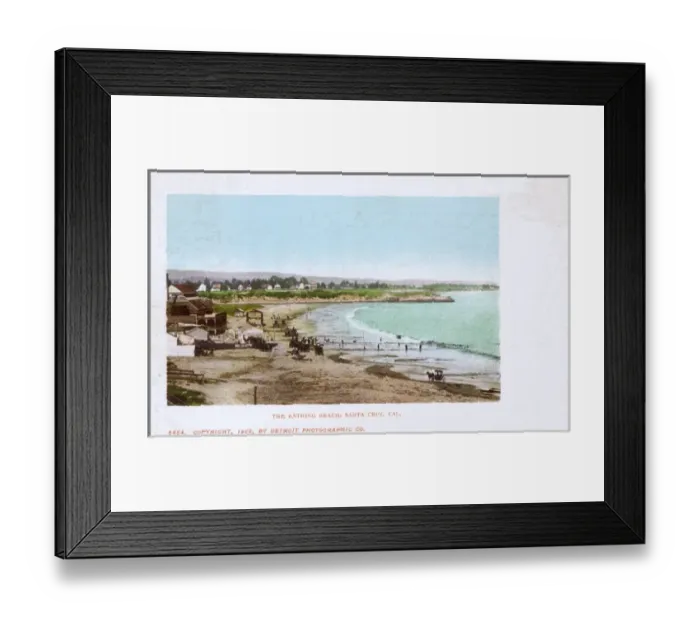 Framed Print : Bathing beach, Santa Cruz, California, USA Framed Print : Bathing beach, Santa Cruz, California, USA