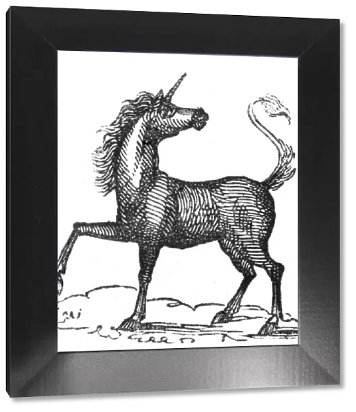 Unicorn Date: C.1840s