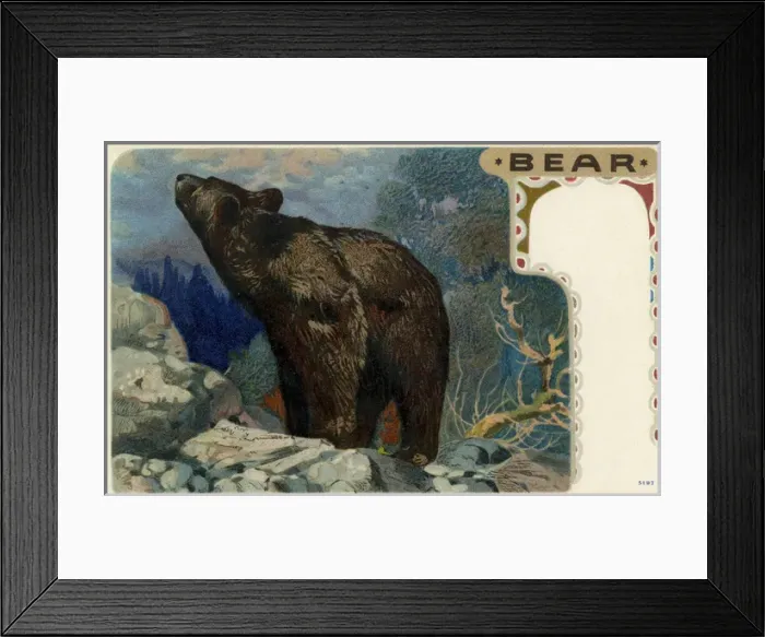 Framed Print : Grizzly bear Framed Print : Grizzly bear