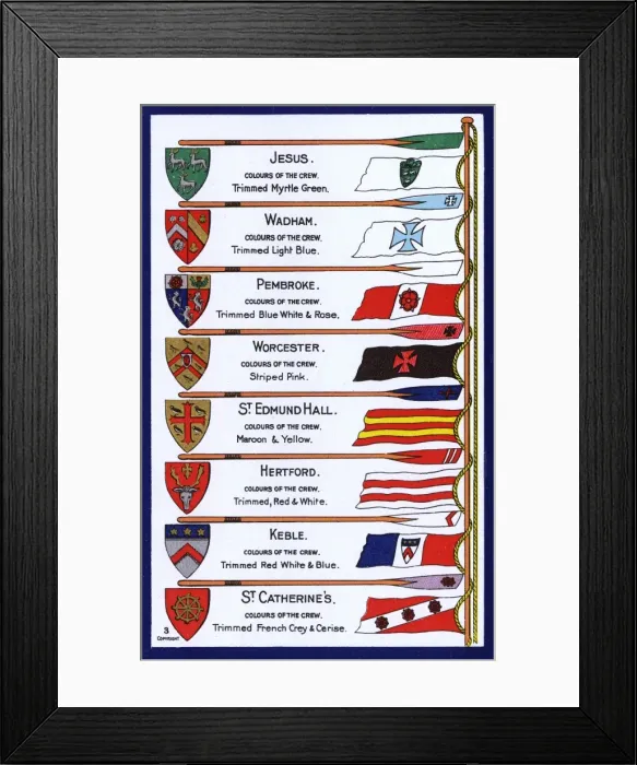 Framed Print : Oars, Flags and Arms of the Colleges of Oxford University Framed Print : Oars, Flags and Arms of the Colleges of Oxford University