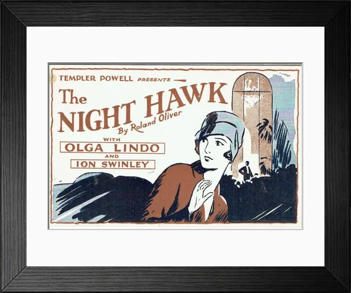 Framed Print : The Night Hawk by Roland Oliver Framed Print : The Night Hawk by Roland Oliver
