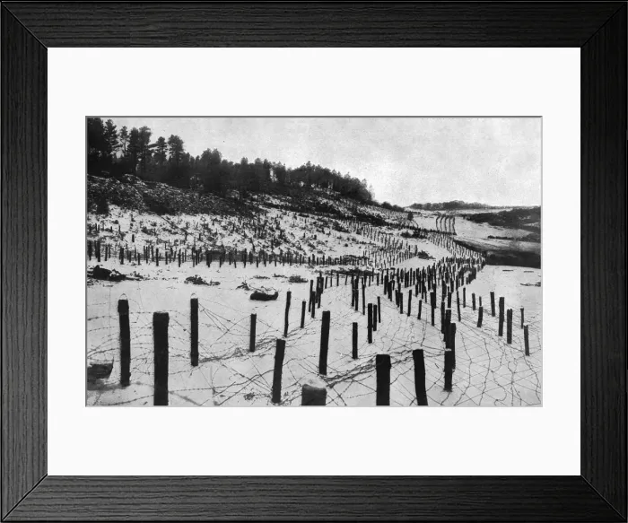 Framed Print : Well-kept section of the Eastern Front, Russia, WW1 Framed Print : Well-kept section of the Eastern Front, Russia, WW1