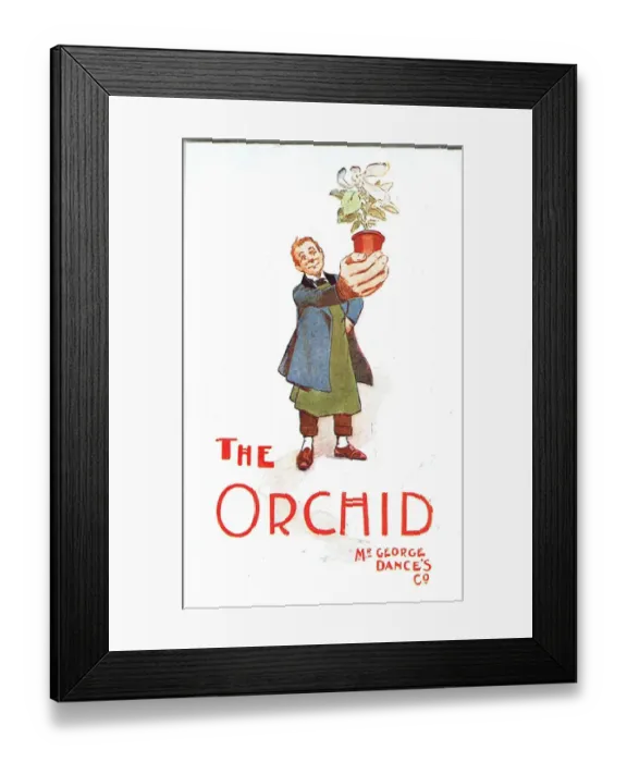 Framed Print : The Orchid by James T Tanner Framed Print : The Orchid by James T Tanner