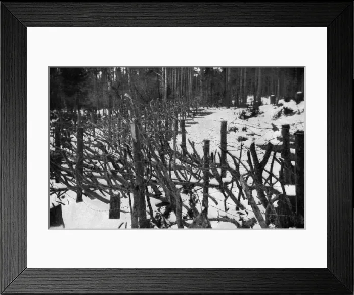 Framed Print : Pointed stakes of the Eastern Front, Russia, WW1 Framed Print : Pointed stakes of the Eastern Front, Russia, WW1