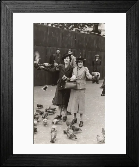 Framed Print : Two middle-aged women with pigeons Framed Print : Two middle-aged women with pigeons