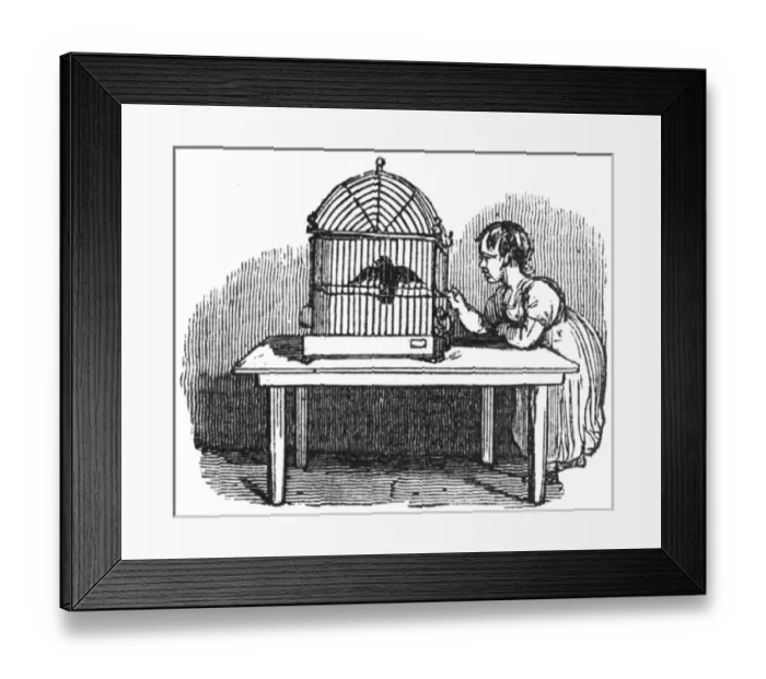 Framed Print : Girl with caged bird, c. 1800 Framed Print : Girl with caged bird, c. 1800