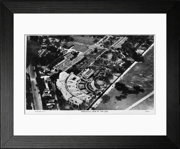Framed Print : Aerial view of the Zoo, Regents Park, London Framed Print : Aerial view of the Zoo, Regents Park, London