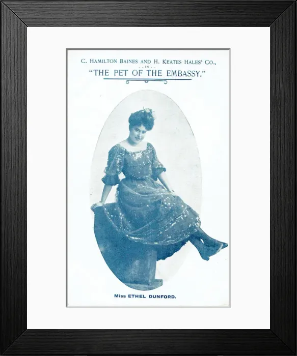 Framed Print : The Pet of the Embassy by Sydney F Bailey Framed Print : The Pet of the Embassy by Sydney F Bailey