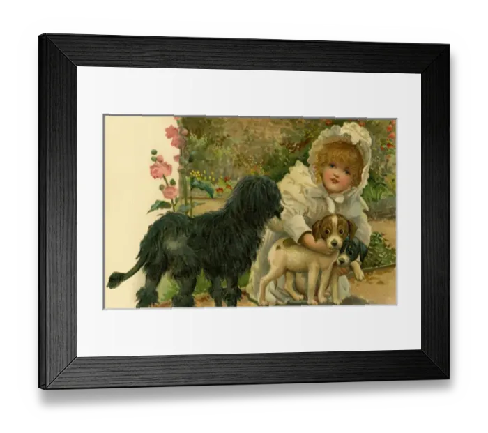 Framed Print : Girl with three dogs Framed Print : Girl with three dogs