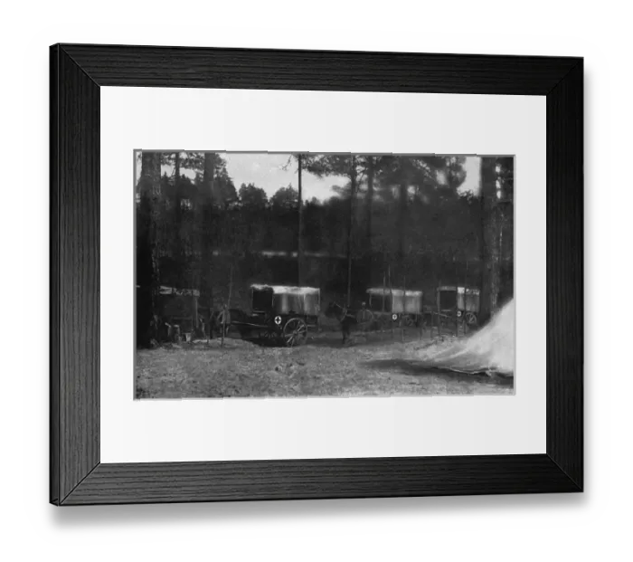 Framed Print : Ambulance carts on the eastern front, Russia, WW1 Framed Print : Ambulance carts on the eastern front, Russia, WW1