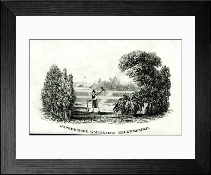 Framed Print : Experienced Gardeners Recommended Framed Print : Experienced Gardeners Recommended