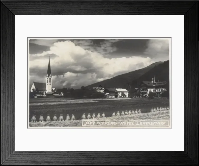 Framed Print : Mieders Hotel, Larchenhof, Austria Framed Print : Mieders Hotel, Larchenhof, Austria