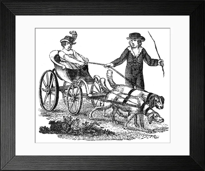 Framed Print : Curricle dog-cart, c. 1800 Framed Print : Curricle dog-cart, c. 1800