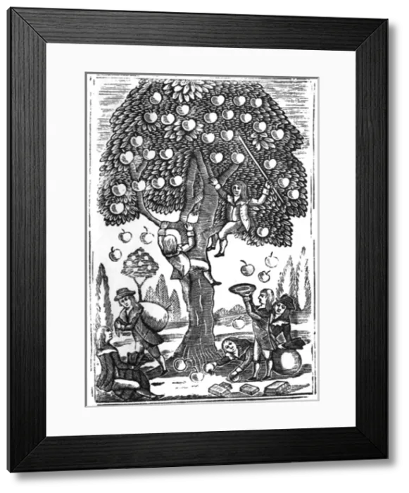 Framed Print : Boys picking apples, c. 1800 Framed Print : Boys picking apples, c. 1800