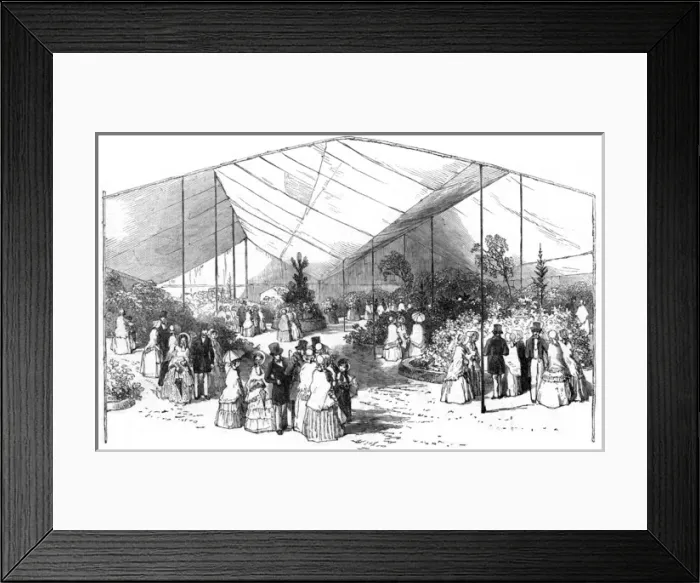 Framed Print : American plants, Royal Botanic Society, Regents Park Framed Print : American plants, Royal Botanic Society, Regents Park